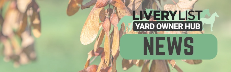 Warning as Early Fall of Sycamore Seeds Poses Risk of ATM in Horses