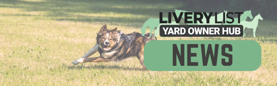 Stronger Legal Protection for Horses: Understanding the 2025 Livestock Worrying Law Changes