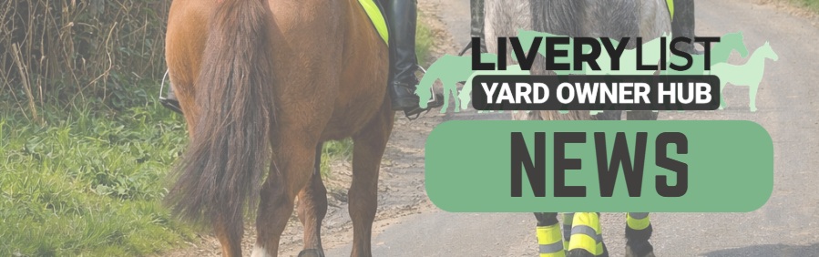 Government Considers Stricter Road Safety Measures for Horses and Riders