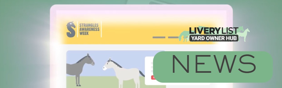 New Strangles Awareness Week Animation Highlights BEST Practices for Horse Welfare