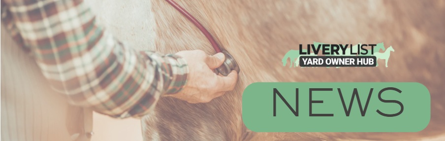 Changes Announced to Tackle High Vet Fees – What It Means for Horse Owners