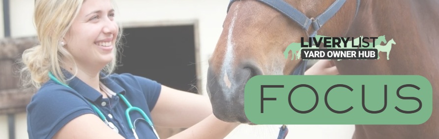 Who Can Make Decisions for Your Horse When You Can’t?