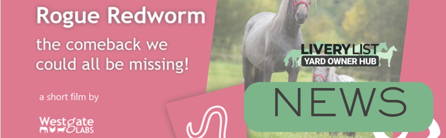 New Film Warns of Potential Resurgence of Dangerous Large Redworm in UK Horses
