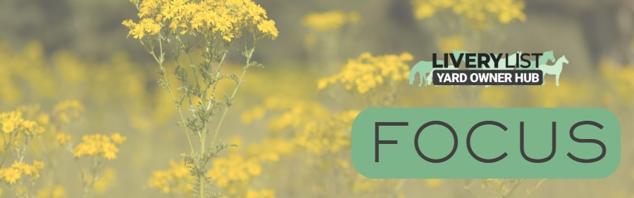 Ragwort: Separating Fact from Fiction in the Debate Over One of Britain’s Most Misunderstood Plants